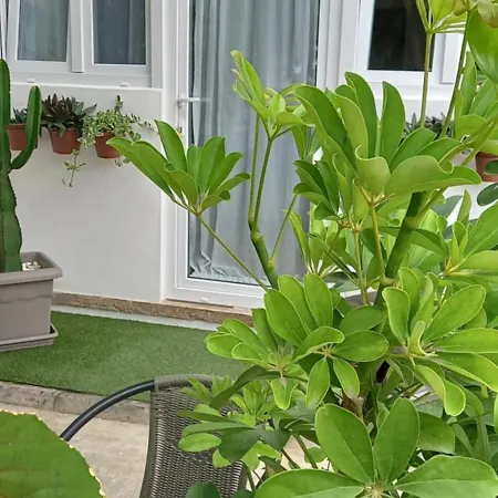 Apartman Welcome Garachico